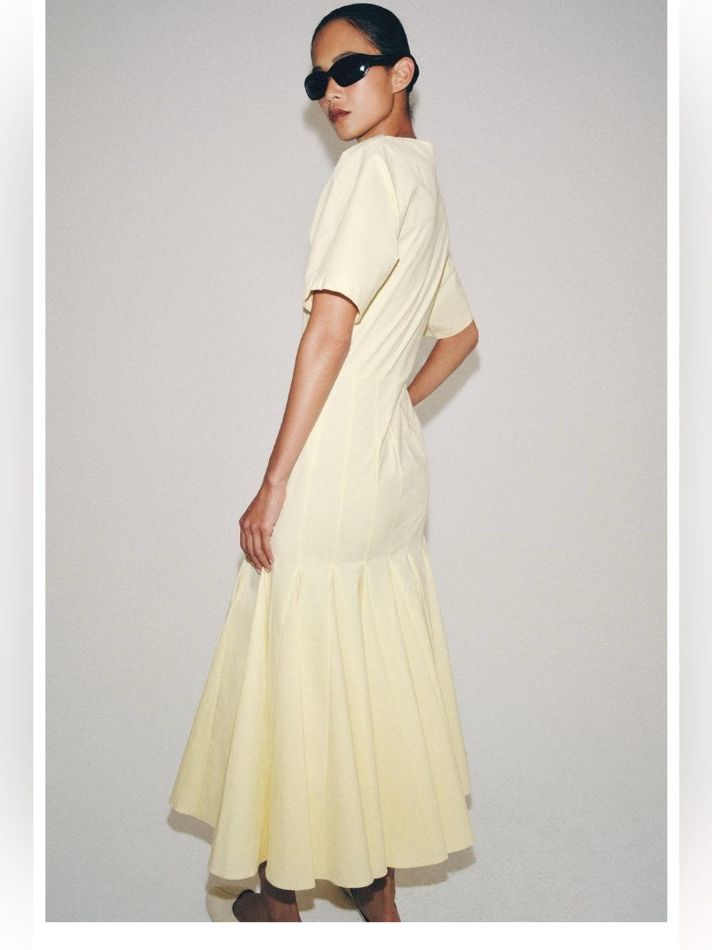 ZARA LIMITED EDITION ZW COLLECTION POLIN DRESS
